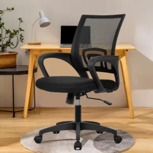 Star Back Computer Chair