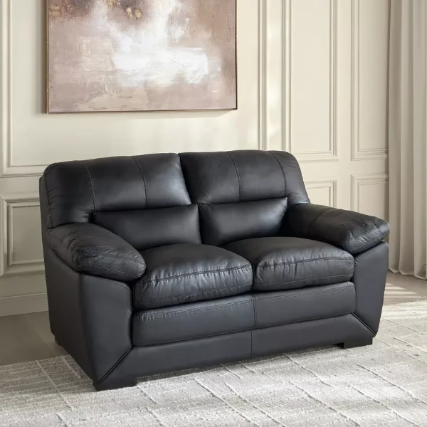 2 Seater Leather Sofa Upholstery