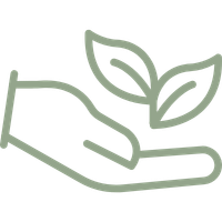 Sustainable Home Styling